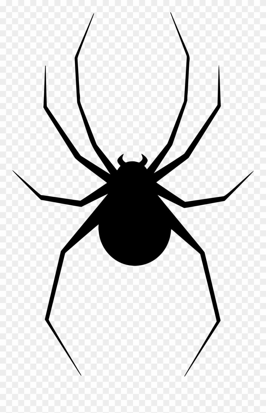 Clipart - Clipart Black And Spider Silhouette - Png Download