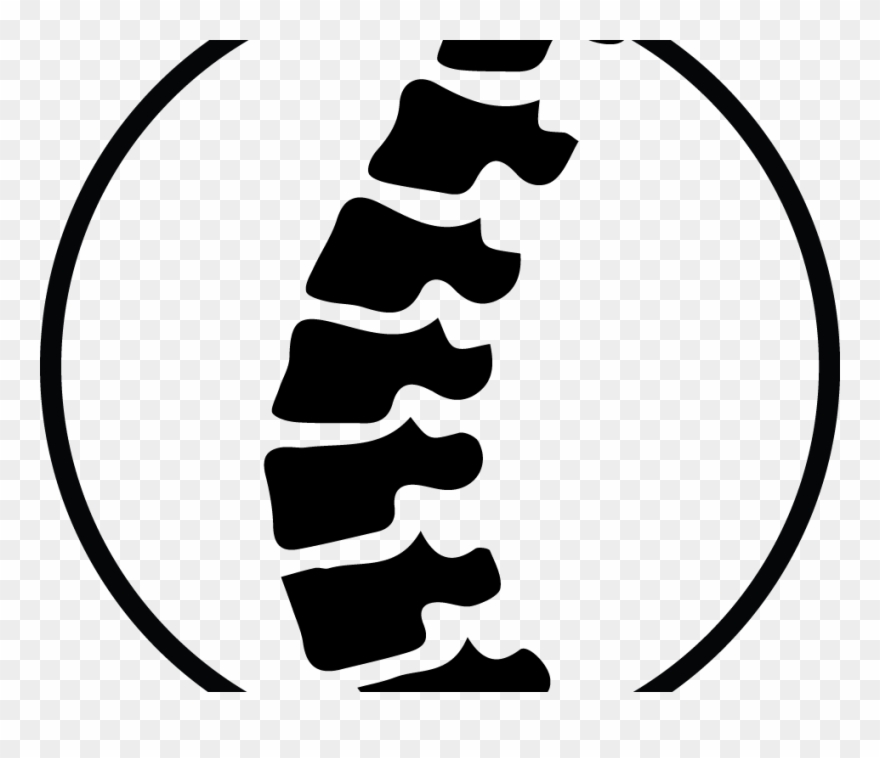 Download Smartness Chiropractic Clip Art - Png Download