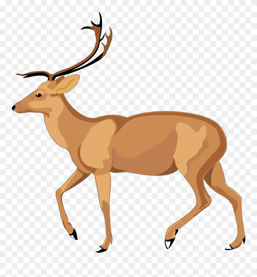 Animal 8 Free Vector - Debden Park High School Clipart