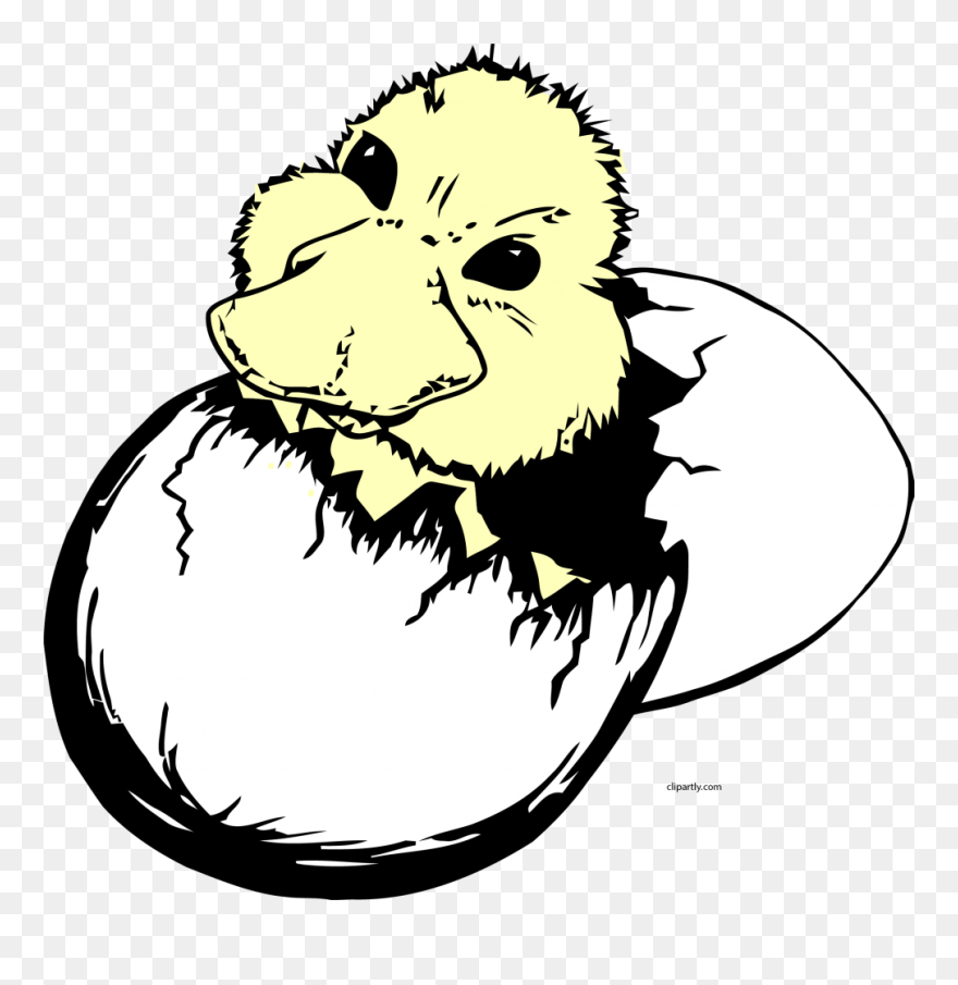Clip Art - Baby Bird Hatching From Egg Transparent - Png Download