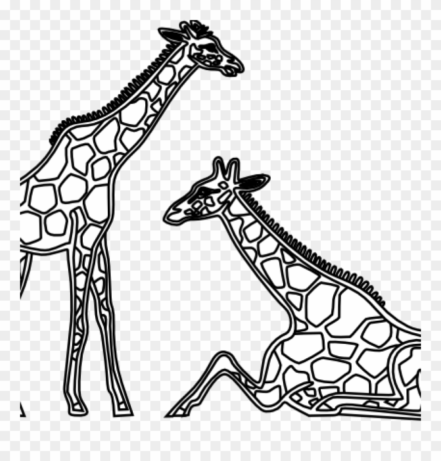 Giraffe Clipart Black And White Giraffe Clipart Black - Giraffe Black And White Drawing - Png Download