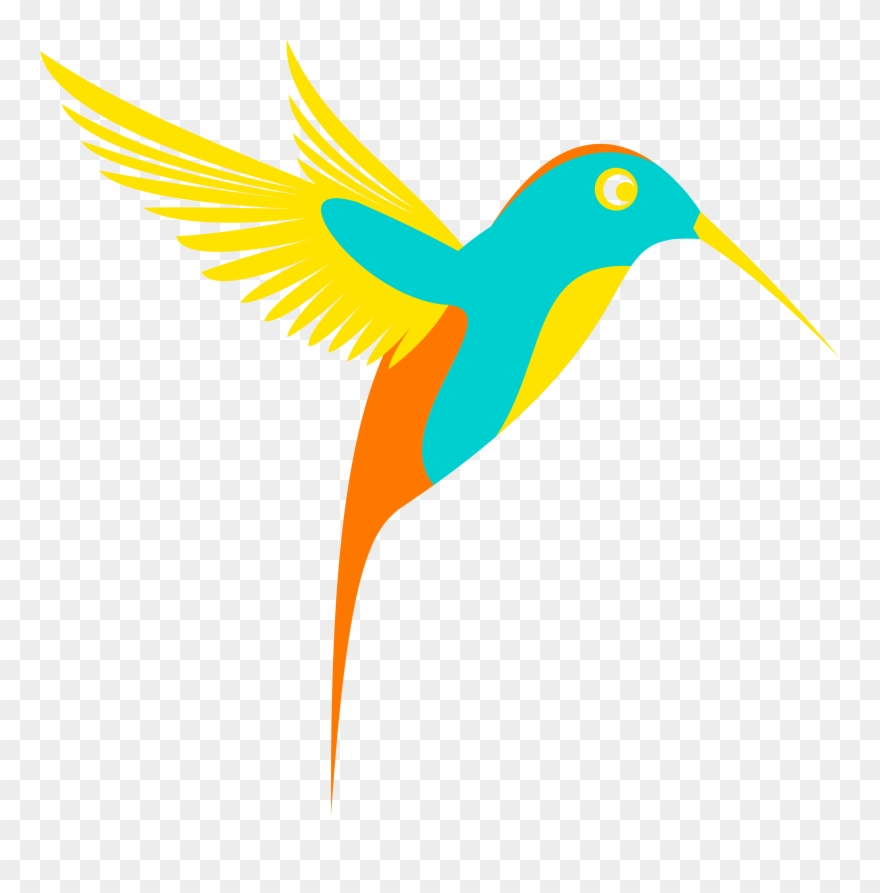 Free Stock Huge Freebie Download Jpg - Humming Bird Clip Art - Png Download