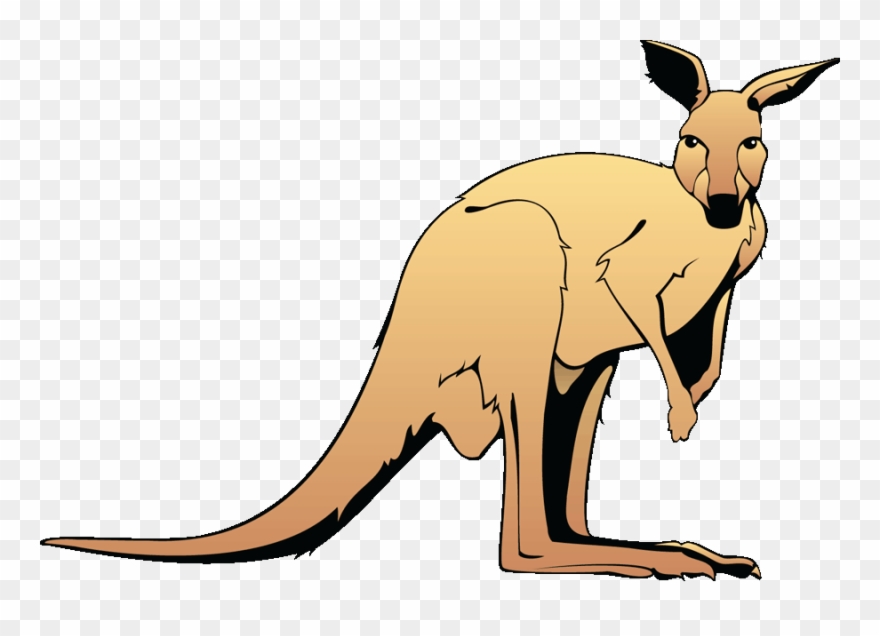 Jumping Kangaroo Clipart - Kangaroo Clipart - Png Download