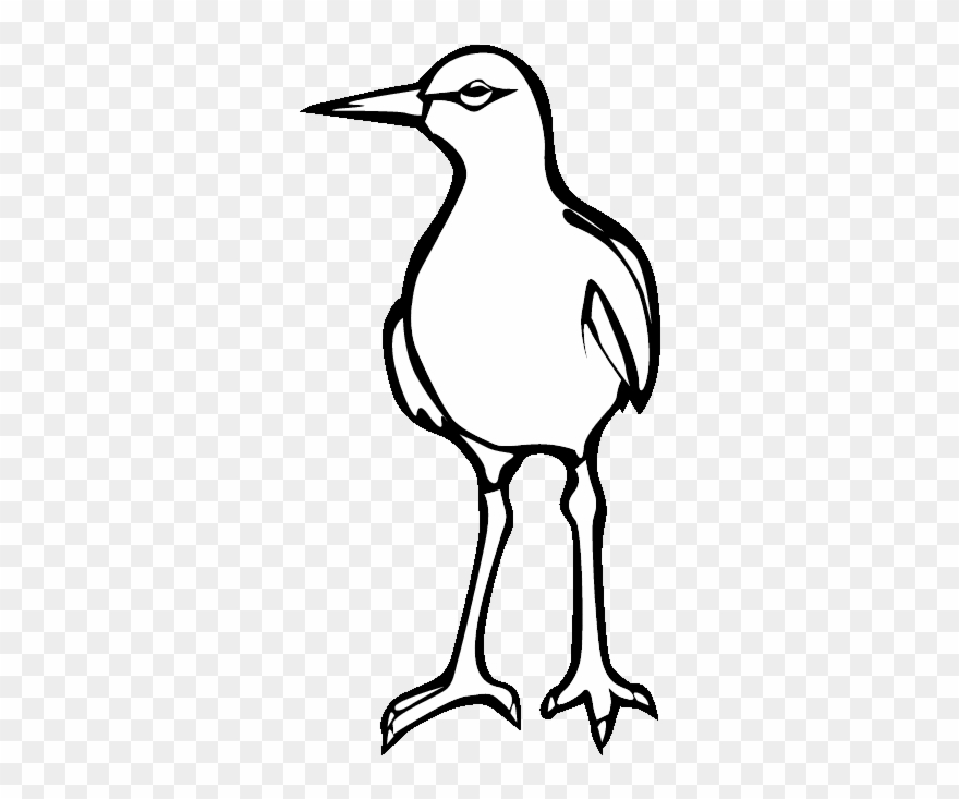 Eps Seagull 0001 Printable Coloring In Pages For Kids - Coloring Book Clipart