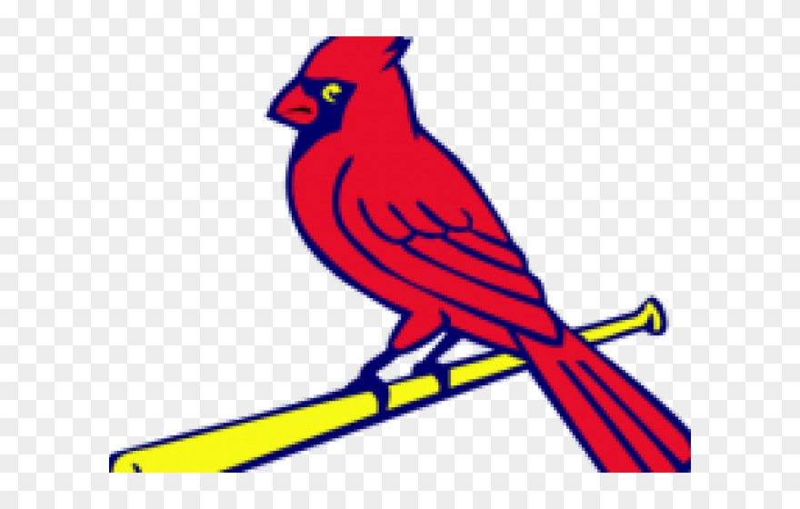 Free Cardinal Clipart - Cardinals Mlb - Png Download