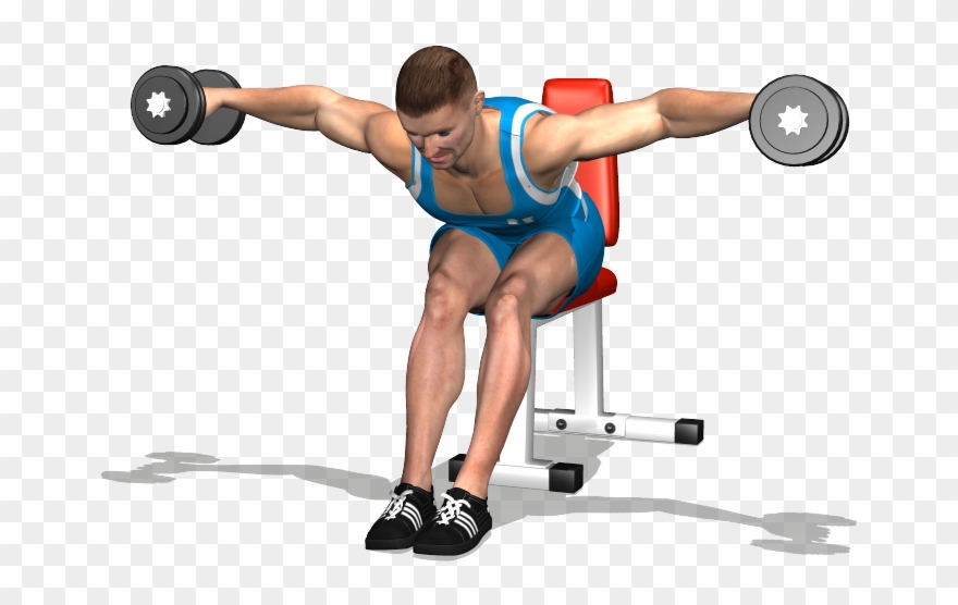 Evolutionfit Seated Dumbells Rear Delt - Alzate Laterali 90 Gradi Clipart