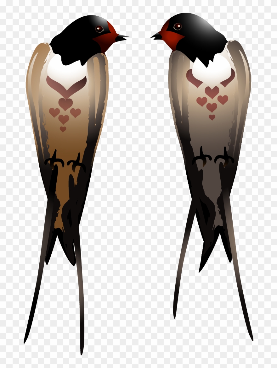 Clip Art - Png Download