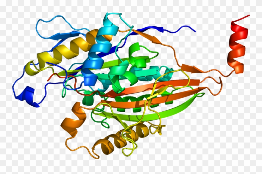 Protein Data Bank Clipart