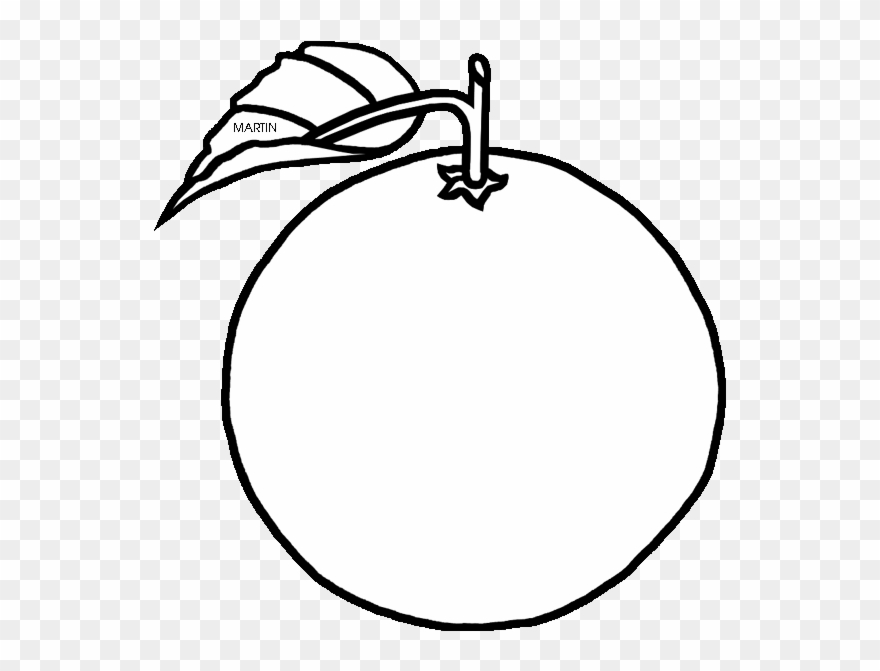 Orange Clipart Florida - White Vector Apple - Png Download