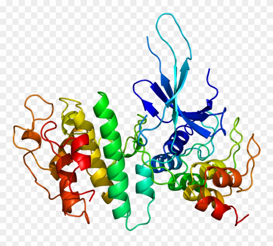 Cyclin Dependent Kinase Structure Clipart