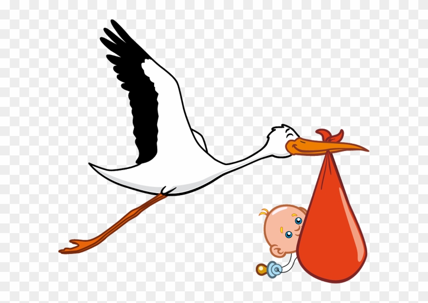 Storks Baby - Stork Carrying Baby Cartoon Clipart