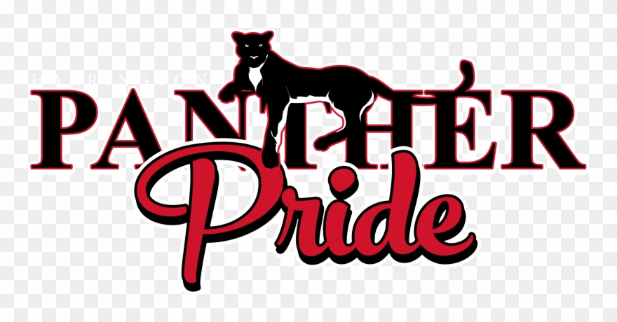 Port Authority Ladies Core Soft Shell Jacket Clipart