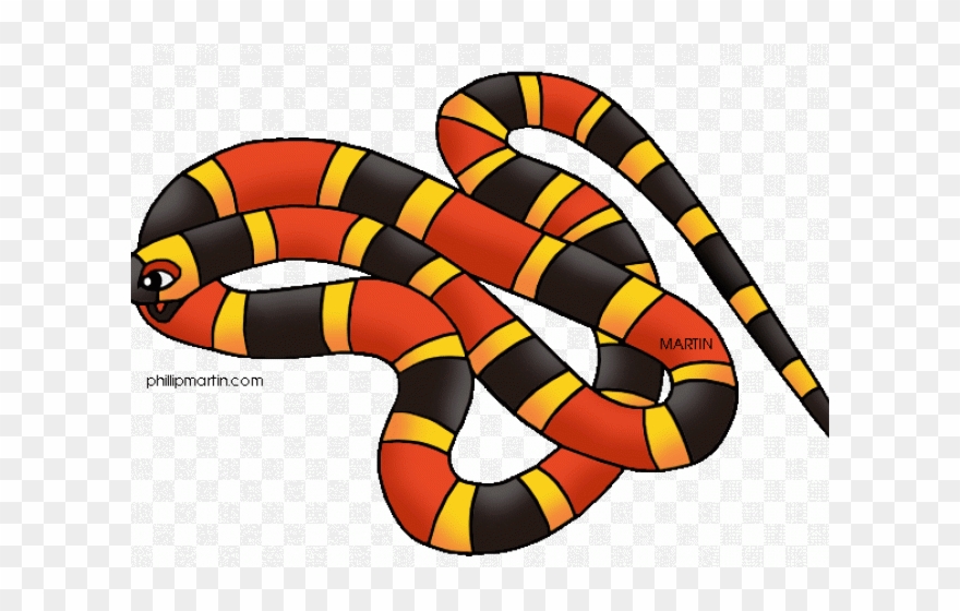Long Clipart Rainforest Snake - Rainforest Animals Clipart - Png Download