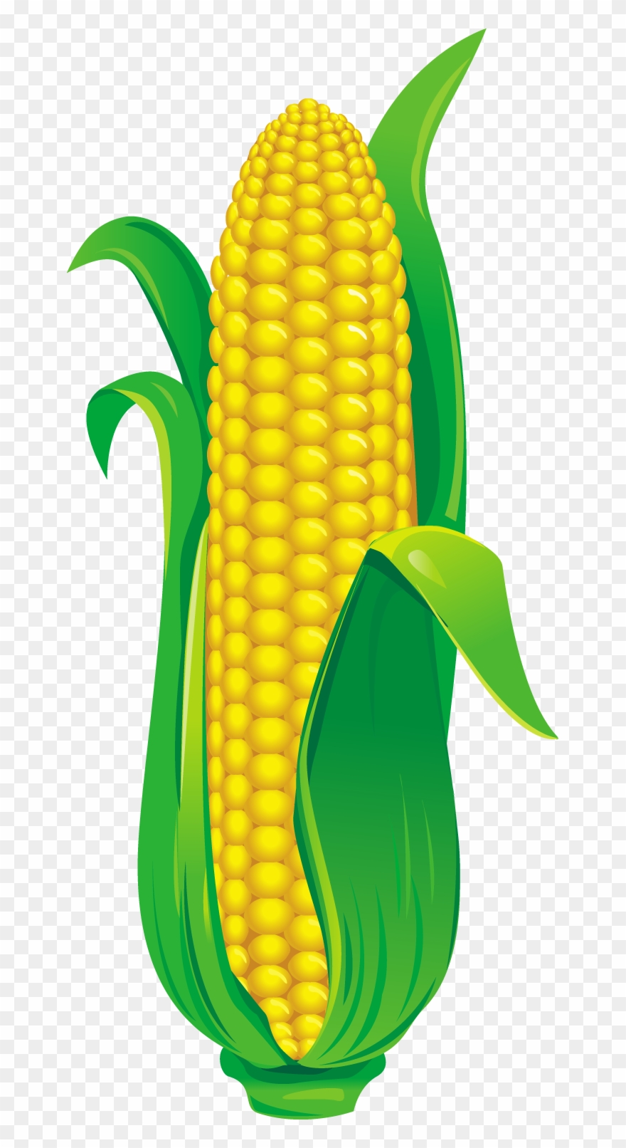 玉米【高清卡通手绘png素材】-90设计 Clipart