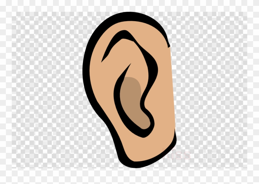 Ears Clipart Ear Clip Art - Png Download