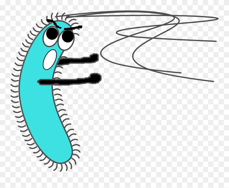 What Is Mrsa - Transparent Bacteria Clipart - Png Download