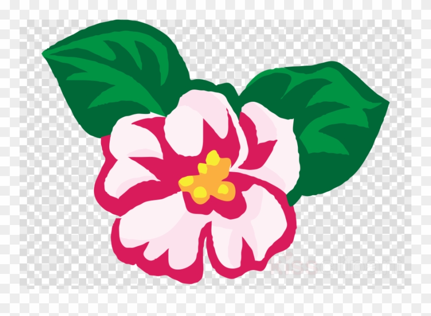 Begonia Clipart Clip Art - National Flower Of Nepal Drawing - Png Download