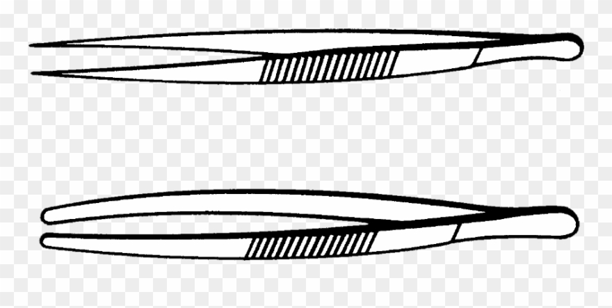Neolab E 1363 Tweezers 18//8 Steel, Polished, Pointed, - Line Art Clipart