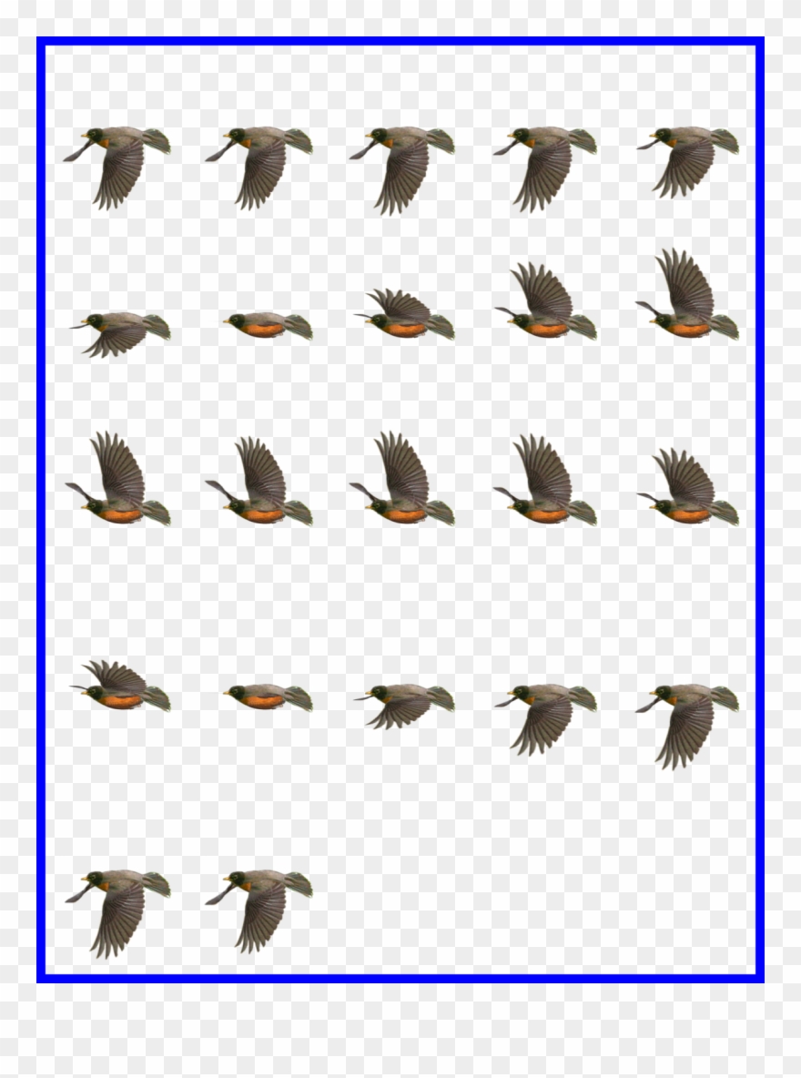 Unbelievable Robin Flying Sprites Image For Bird Cartoon - Bird Flying Sprite Sheet Clipart