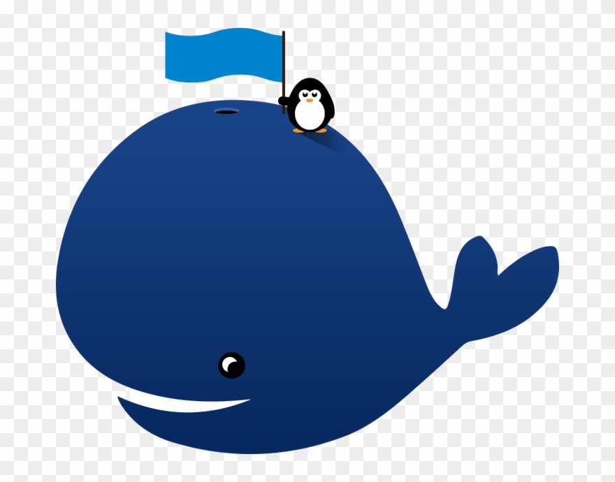 Animated Images Secondtofirst Com Free Clip Art - Animated Pictures Of A Whale - Png Download