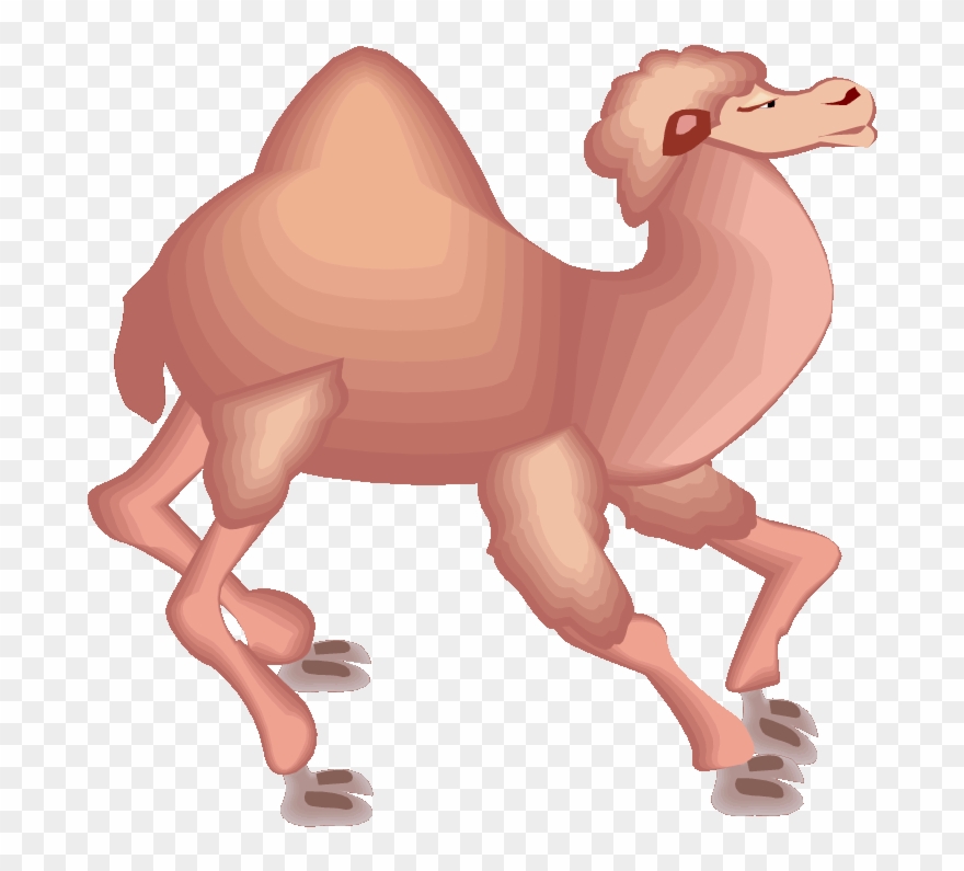 Running Camel - Kamel Comic Clipart