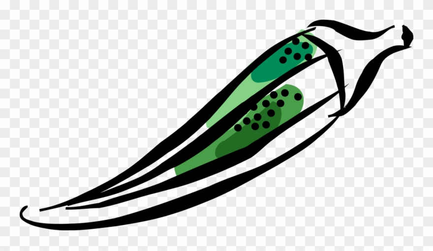 Vector Illustration Of Okra Flowering Plant With Edible - Illustration Clipart