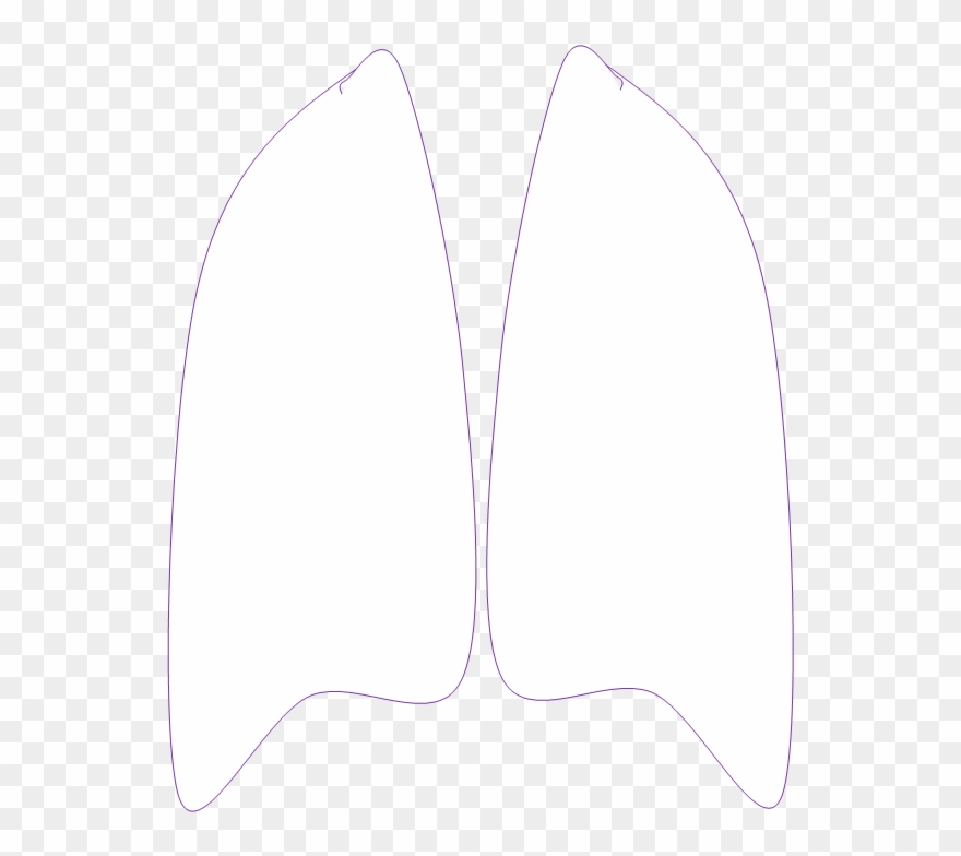 Clipart Black And White Stock Line Angle - Png Download