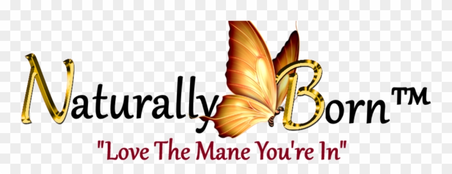 Nb Offical Logo1 - Portable Network Graphics Clipart