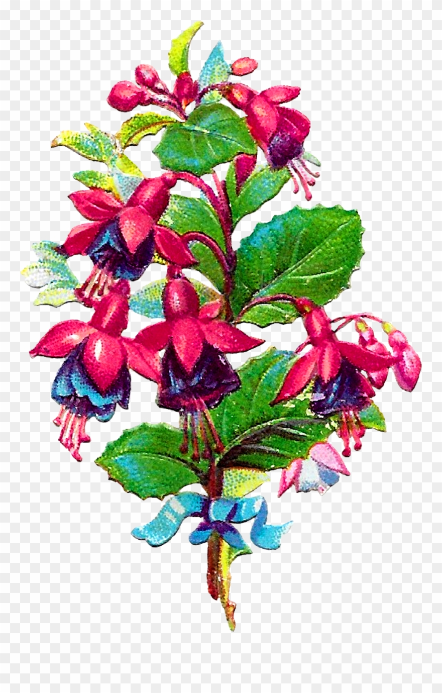 Digital Fushia Flower Clip Art Download Png - Flower Transparent Png