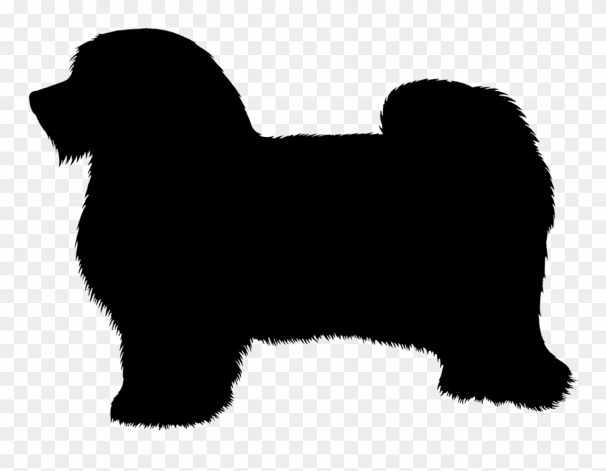 Thus, When Someone Had Trended It, Slowly And Steadily - Havanese Silhouette Clipart