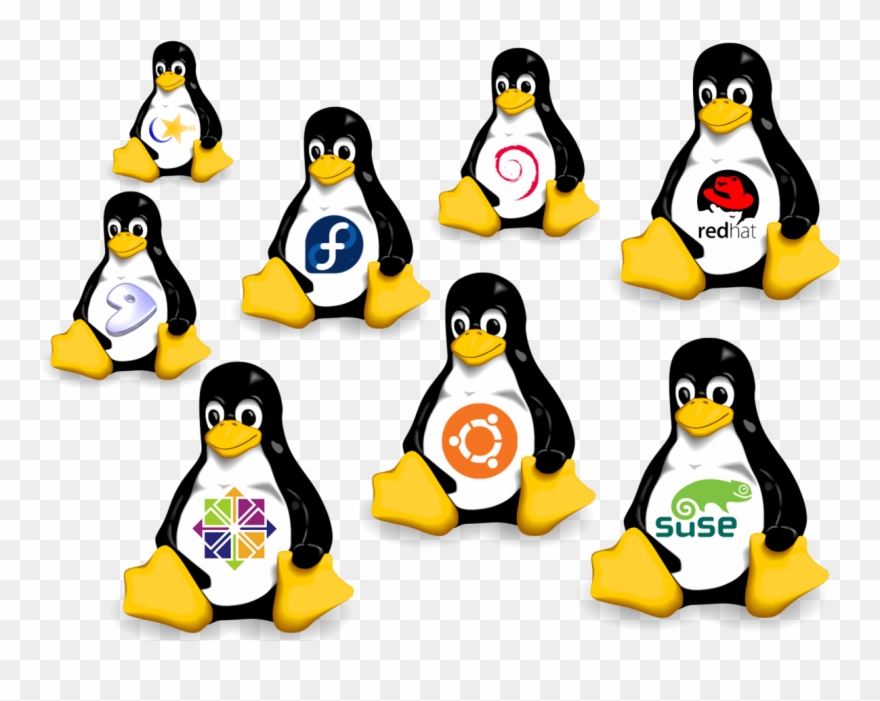 Type Of Linux Clipart