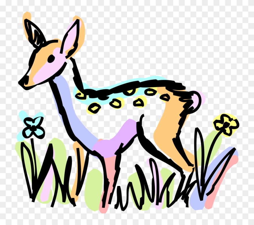 Vector Illustration Of White-tailed Or Whitetail Deer - White-tailed Deer Clipart