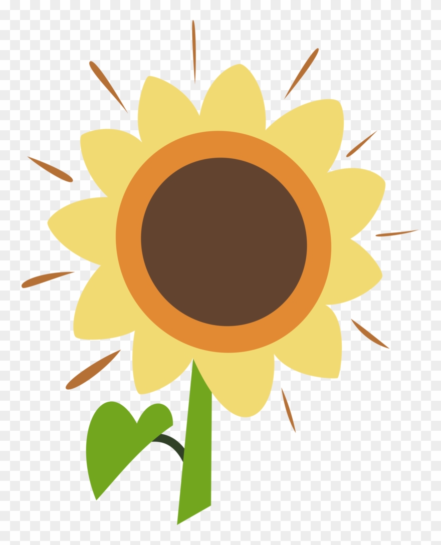 Meadow Flower Cm By Ambassad0r Clipart