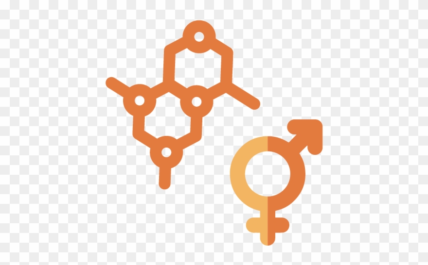 Hormone Therapy Icon Clipart