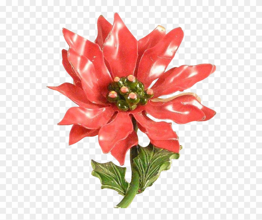 Christmas Poinsettia Flower Pin Vintage 1960s Enameled - Discounts And Allowances Clipart