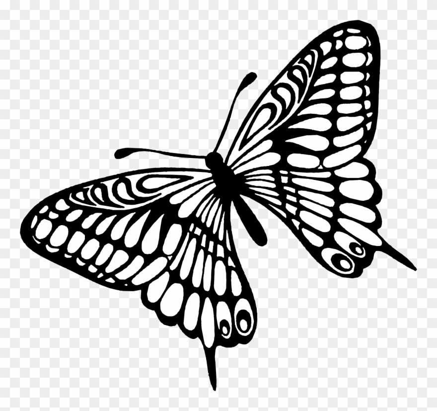 Butterfly - Scrapberry's The Best Things Butterflies Clear Stamps Clipart