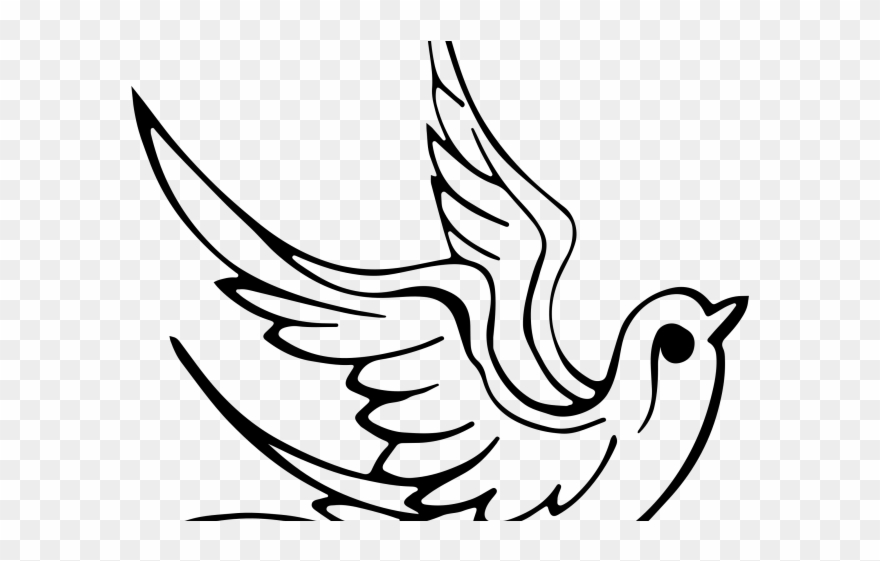Drawn Dove Transparent - Line Art Bird Clipart