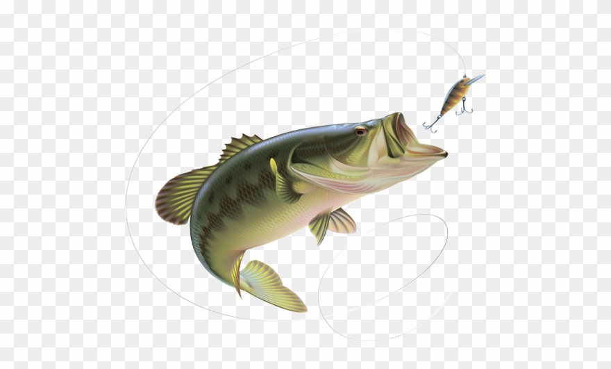 Fishing Line And Hook Png Clipart Freeuse - Fishing Pliers Hemostat Locking Stainless Steel Locking Transparent Png