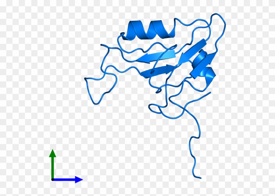 <div Class='caption-body'>pdb Entry 1uju Contains 1 Clipart