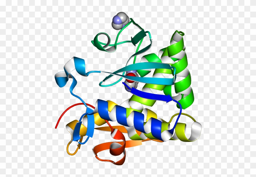 Database Information - Educational Toy Clipart