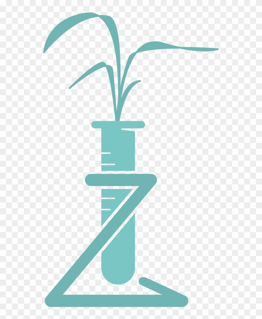 Bio Transformation Clipart