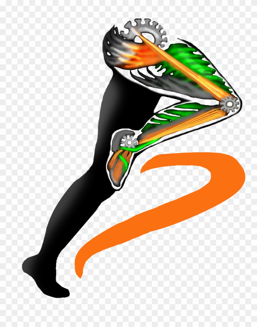 Biomechanical Integrity - Biomechanics Clipart