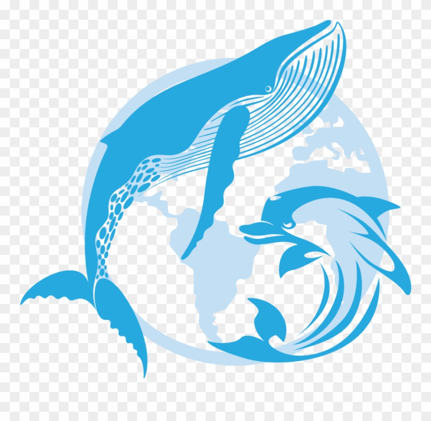 Dolphins Clipart Dolphin Splash - Decal Stickers Dolphin Figure Motorbike Boat (30 X - Png Download