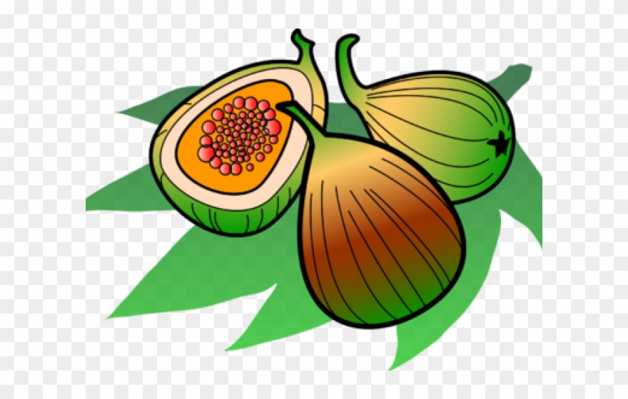 تصاویر کارتونی از انجیر Clipart