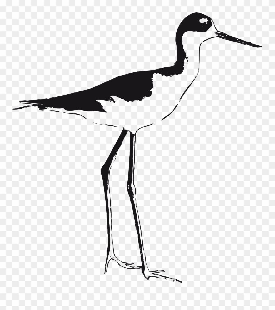 Big Image - Black Necked Stilt Outline Clipart