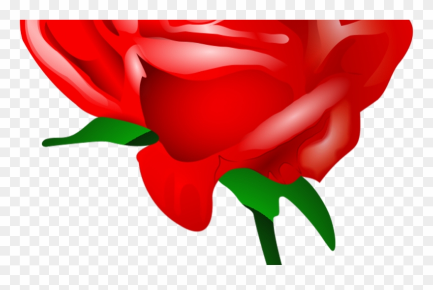 Flowers Color Clipart Clipartblack White Free Clipart - Flor Rosa Vermelha Vetor - Png Download