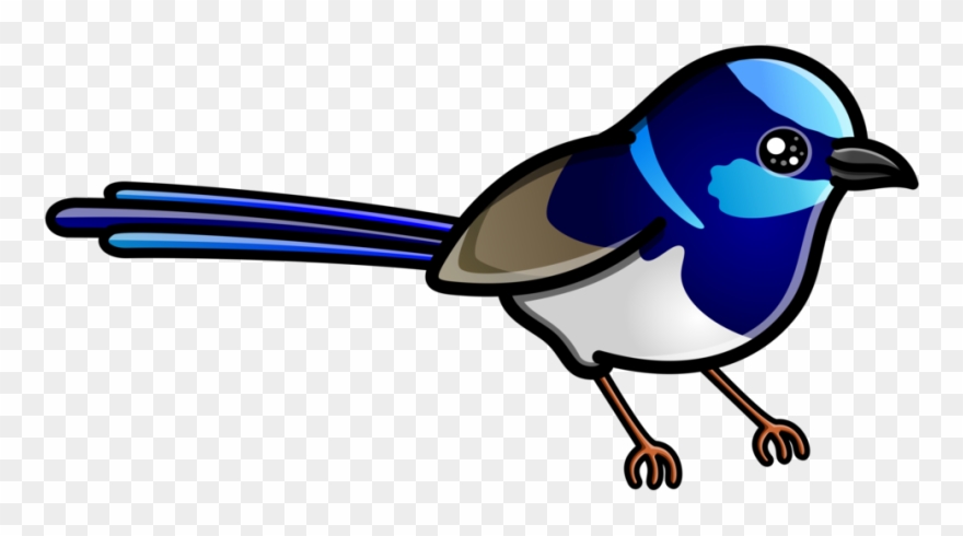 Pose 2 - Rottnest Island Clipart