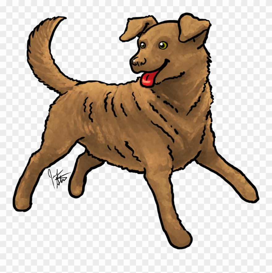 Happy Late 4th Of July Everyone This Month I Picked - Companion Dog Clipart