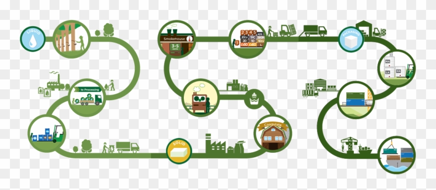 Natural Rubber Process - Rubber Product Infographic Clipart