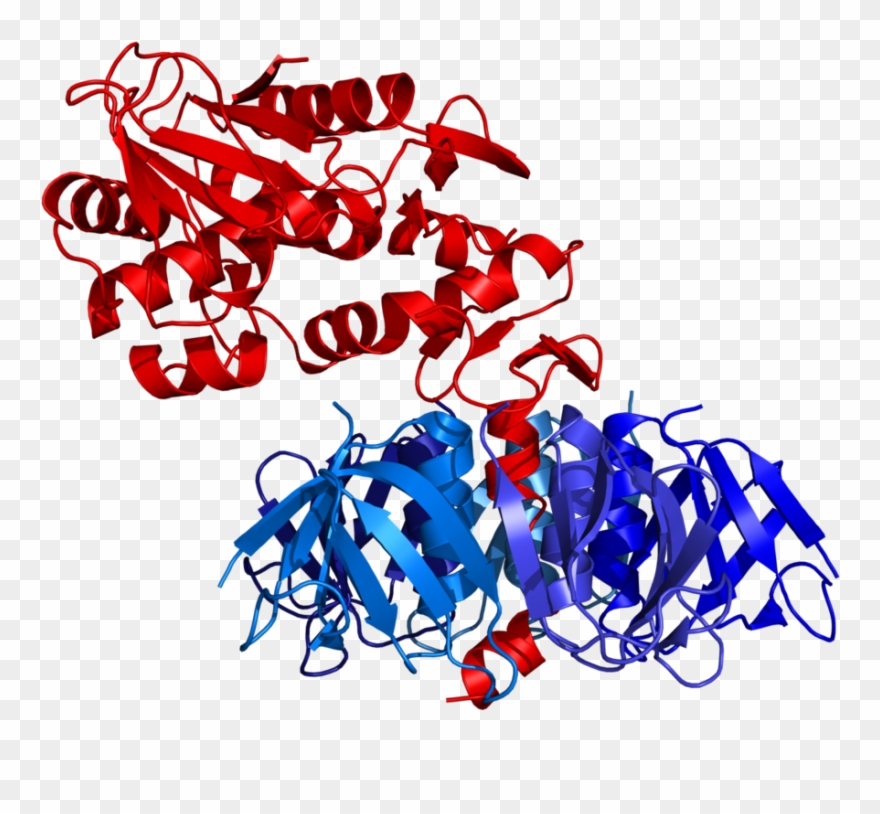 290 × 240 Pixels - Shiga Like Toxin Clipart